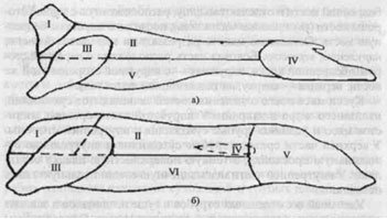 Разделка свиных, бараньих и телячьих туш.