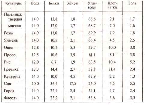 Pishevaya Cennost Zerna Krup I Bobovyh Tajny Kulinarii