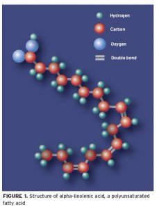 Увеличить Полиненасыщенные жирные кислоты
