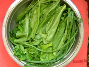 Увеличить Зеленый борщ