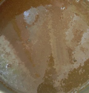 Увеличить Шоколадное фондю