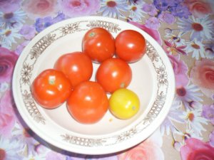 Увеличить Веселые помидорки